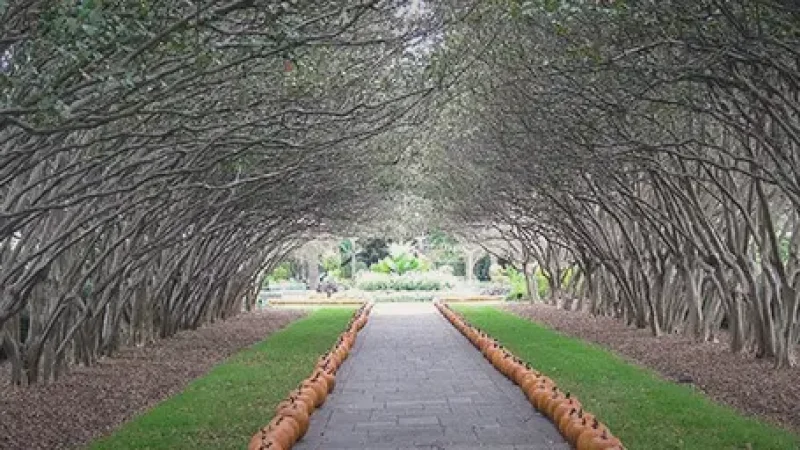 03) Dallas Arboretum & Botanical Garden(2)