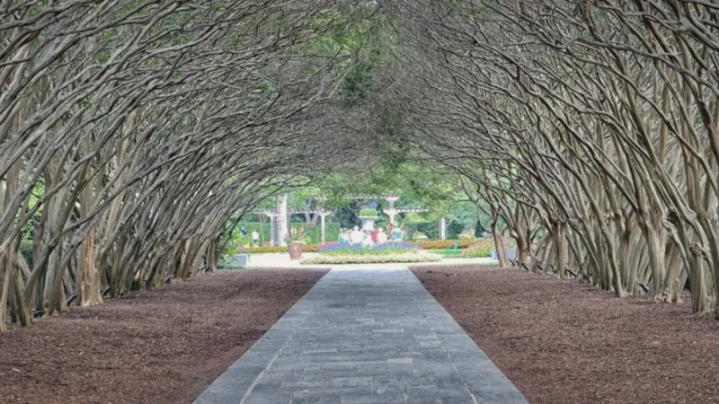 03) Dallas Arboretum & Botanical Garden(4)