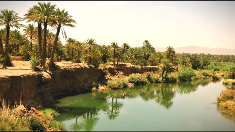03) Draa Valley(2)