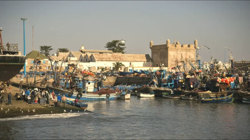 03) Essaouira Fishing Port(4)