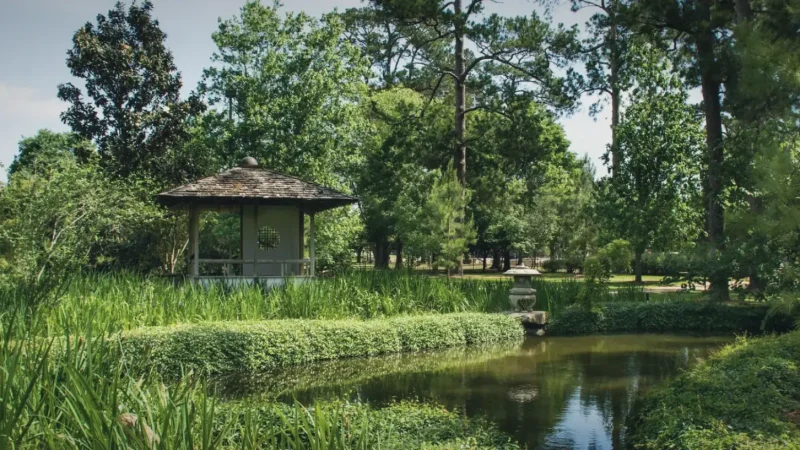 03) Hermann Park(5)