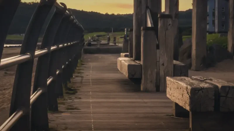 03) Llanelli Millennium Coastal Park(1)