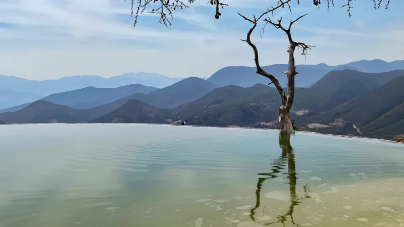 03) Main Viewpoint(3)