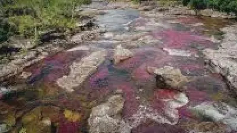 03 Natural Rock Pools – Clear water pools(3)