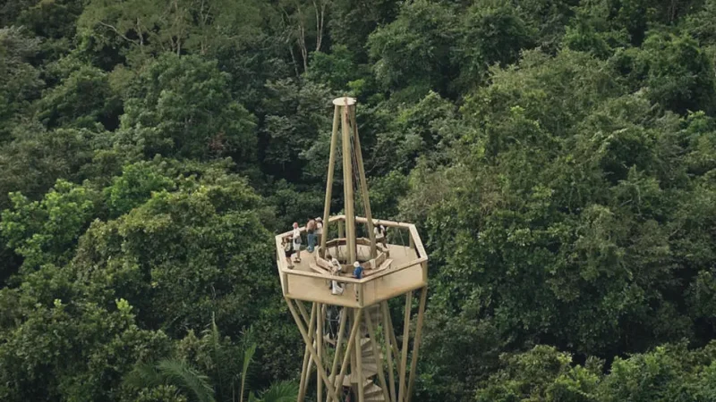 03) Rainforest Discovery Centre(5)