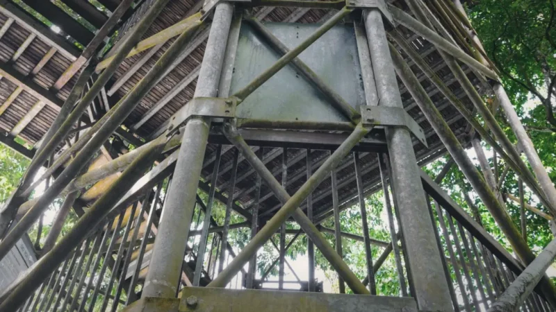 03) Rainforest Discovery Centre(6)
