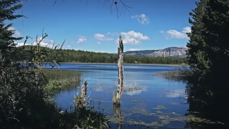 03) Reserva Nacional Coyhaique(2)