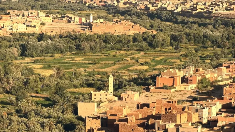 03) Tinghir Oasis(1)