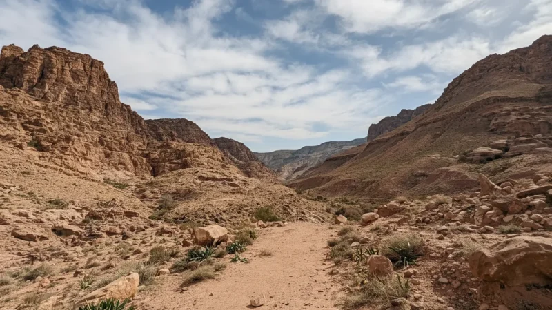 03) Wadi Dana(1)
