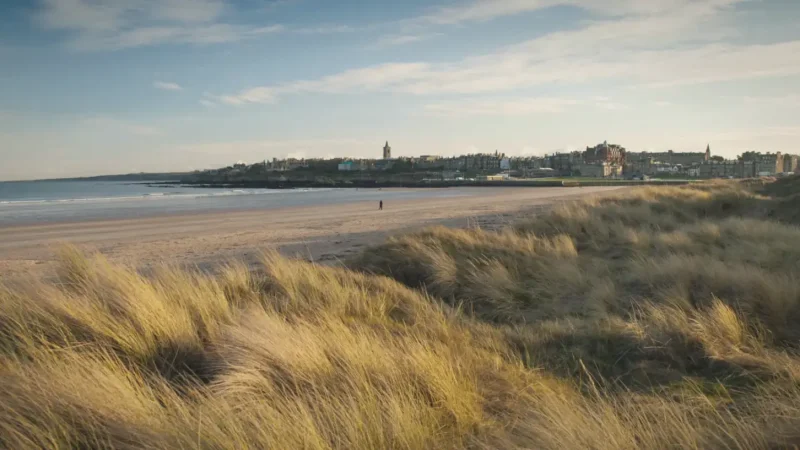 03) West Sands Beach(4)
