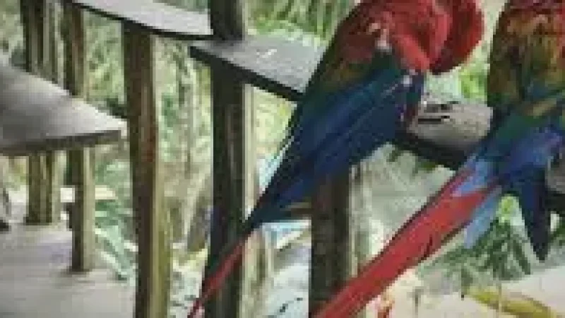 03 Wildlife Observation Zones – Birds and mammals(3)