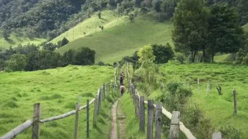 03. Cocora Valley Access Point – Gateway to nature hikes_(3)
