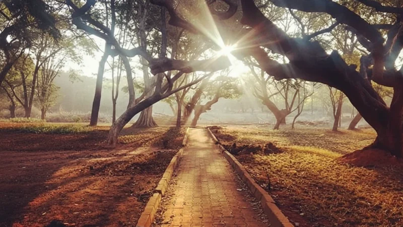 03. Cubbon Park(2)