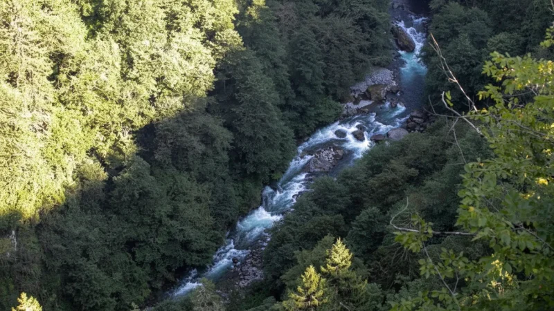 03. Firtina Valley – River views and forests_(6)