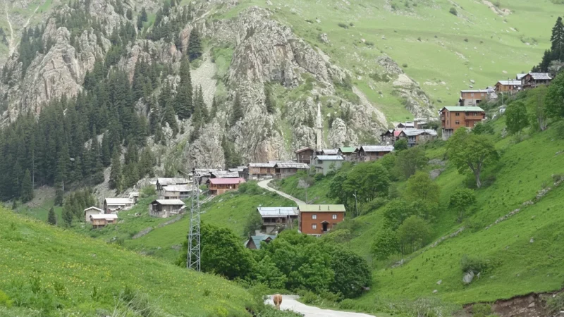 03. Haldizen Plateau – High mountain area with fresh air_(2)