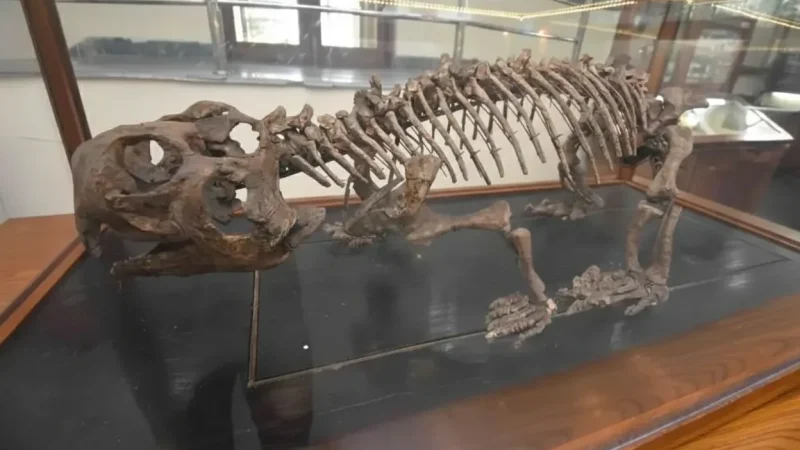 03. Indian Museum – One of the oldest museums in India_(3)