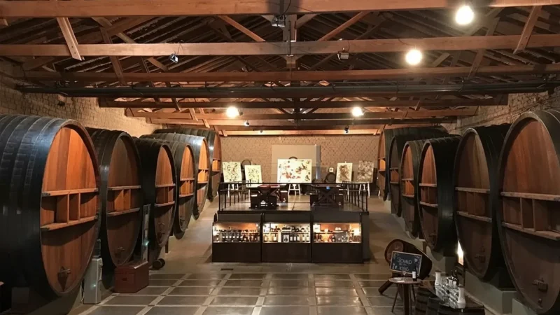 03. Mendoza Wine Museums – Local wine history(6)