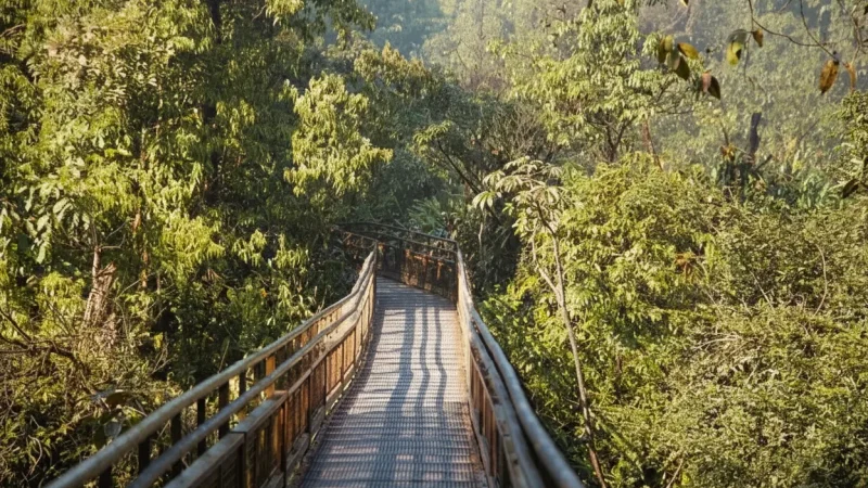 03. Nature Walking Trails – Guided wetland paths(4)