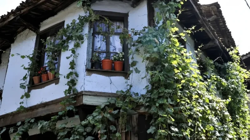 03. Ottoman Stone Houses – Well-preserved 700-year-old homes and narrow alleys_(1)