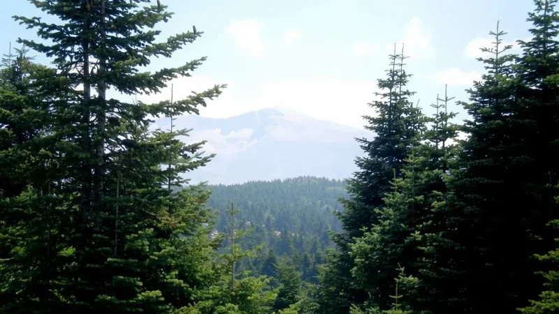 03. Sarialan Plateau – A peaceful area ideal for nature walks and picnics_(1)