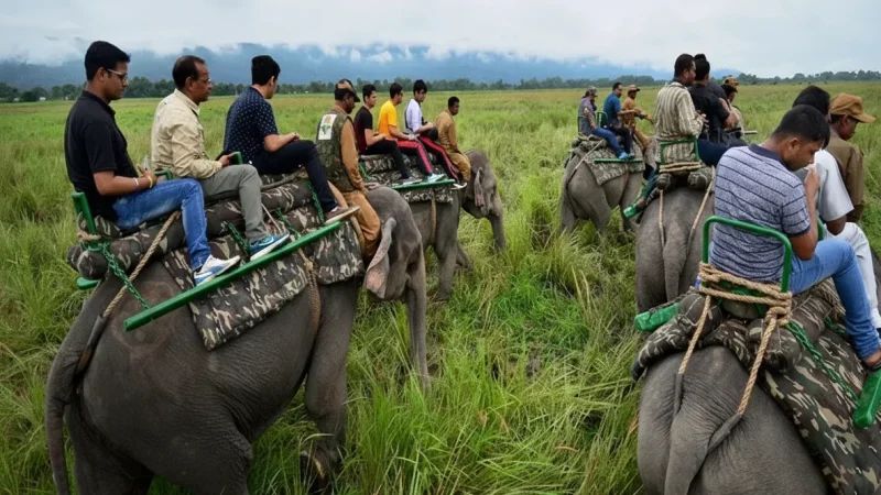03. Western Range (Bagori) – Known for grassland wildlife_(1)