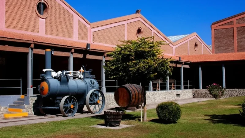 03. Wine Museums – Regional wine history(3)