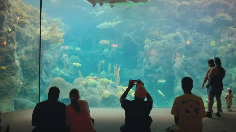 03_Florida_Aquarium(2)