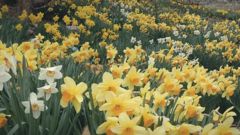 03_Red_Butte_Garden(5)