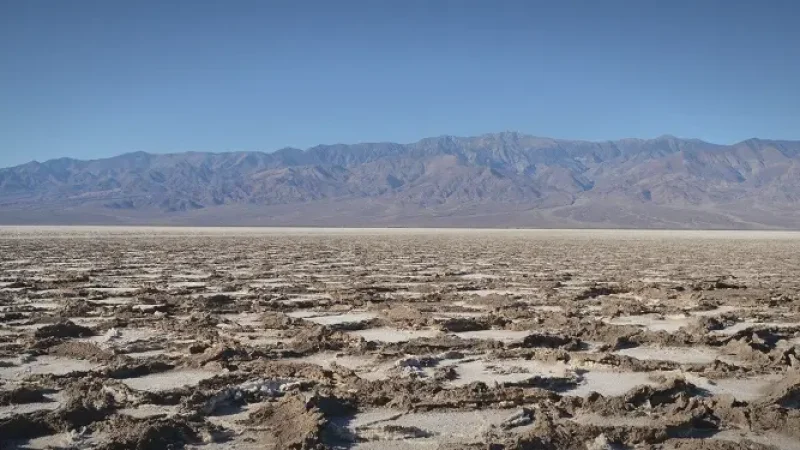 03_Salt_Crust_Zones(5)