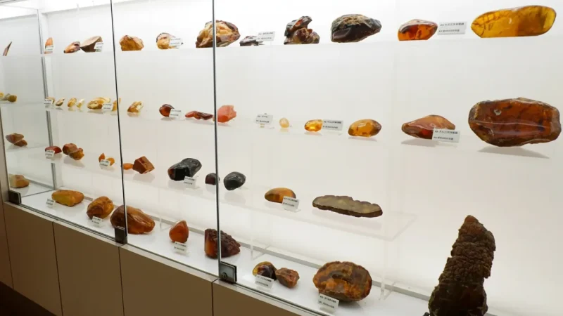 04) Amber Museum(3)