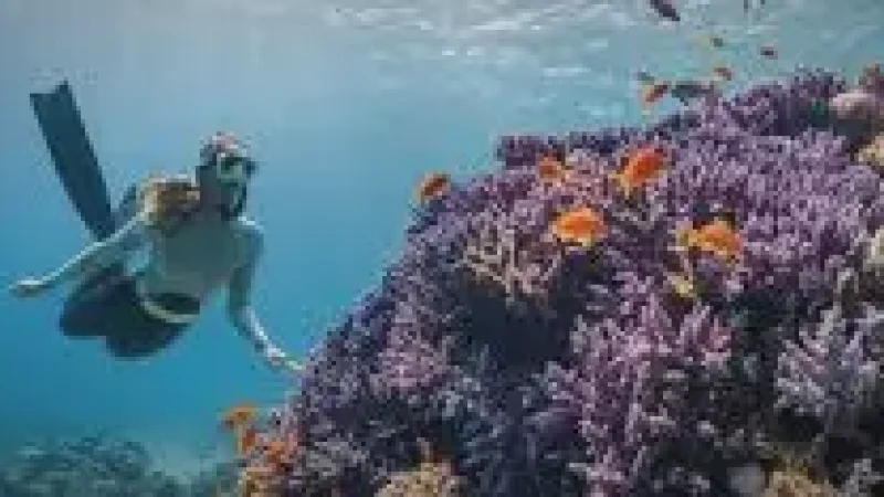 04 Coral Reef Areas(5)