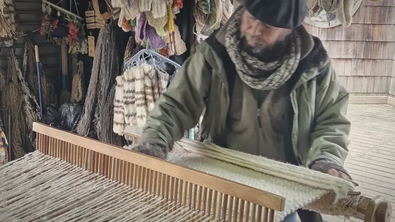 04) Dalcahue Market(2)