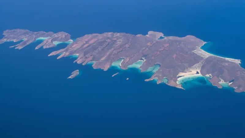 04) Espiritu Santo Island(5)