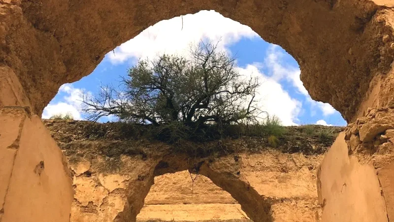 04) Heri es-Souani Granaries(6)