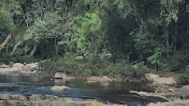 04) Lata Berkoh(2)