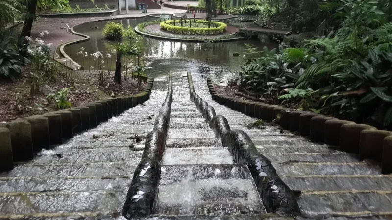 04) Los Tecajetes Park(1)