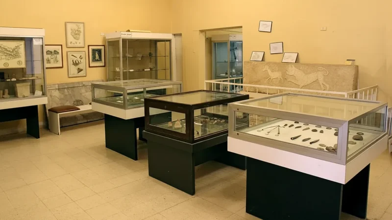 04) Madaba Museum(6)