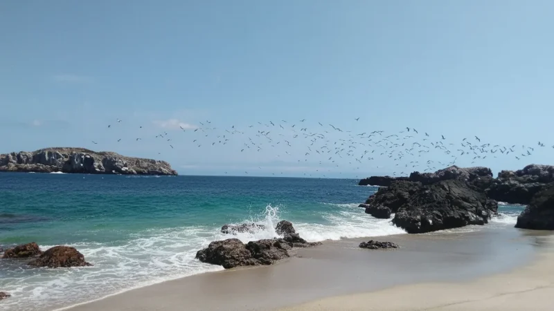 04) Marietas Islands Access(5)