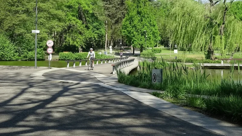 04) Nagyerdei Park(3)