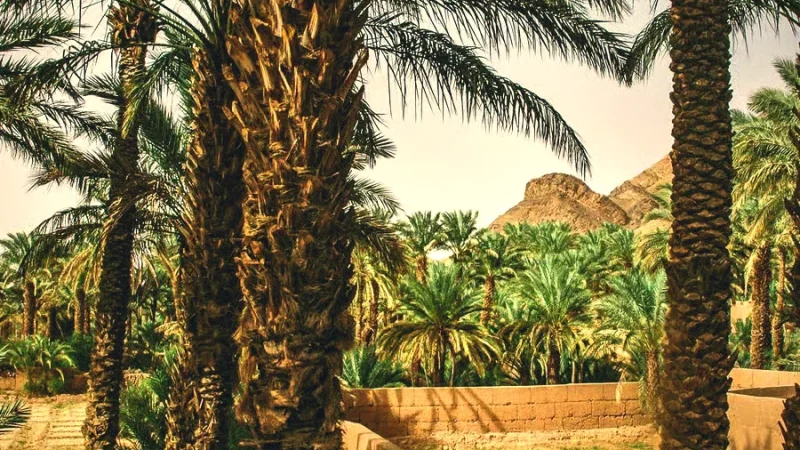 04) Ouarzazate City Center(1)