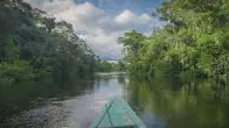 04 Rainforest Shorelines ‒ Dense jungle views(4)
