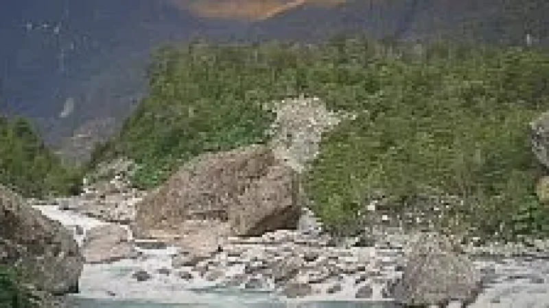 04) River Queulat(2)