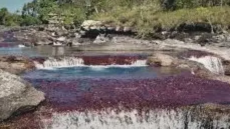 04 River Viewpoints – Elevated scenic views(3)