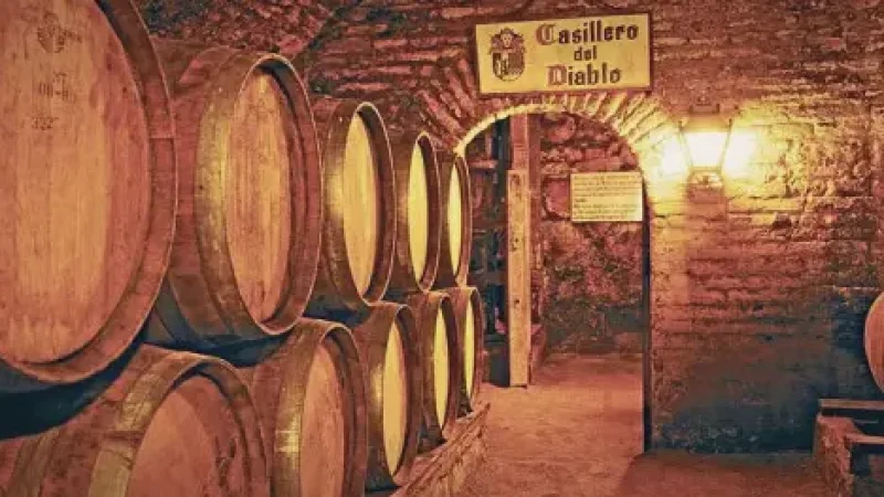 04) Traditional Wine Cellars(4)
