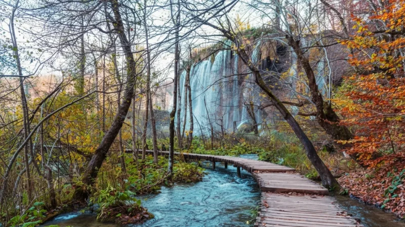 Wooden Boardwalk Trails