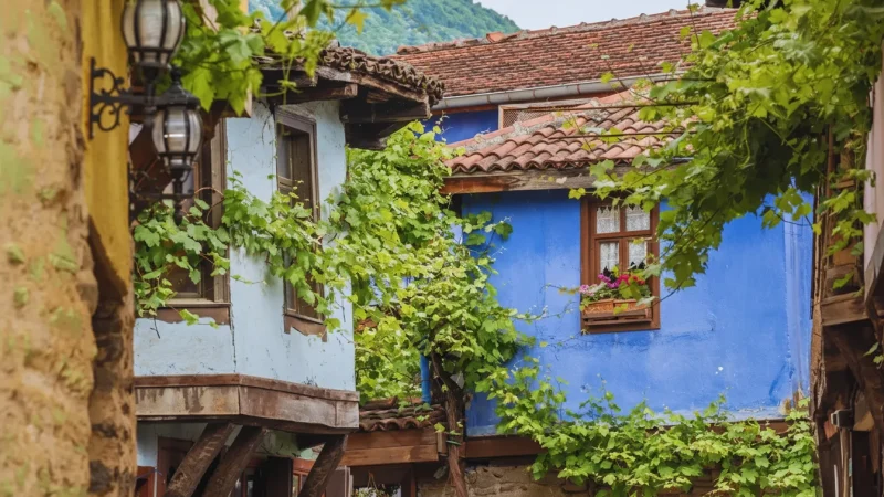 04. Cumalikizik Blue House – A famous restored home representing local architecture_(2)