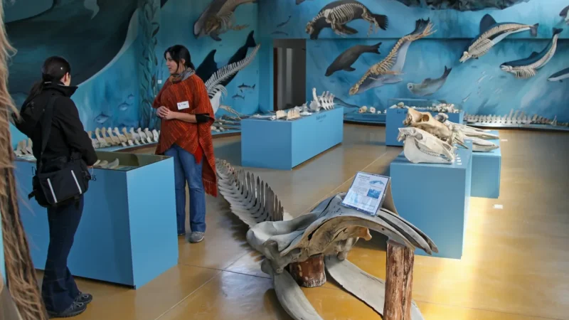 04. Ecocentro Museum – Marine life education(5)