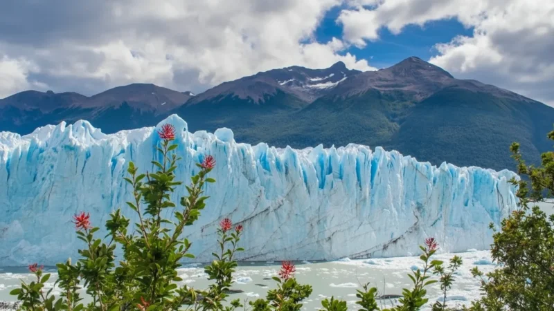 04. Glacier Walkways – Elevated viewing paths(4)