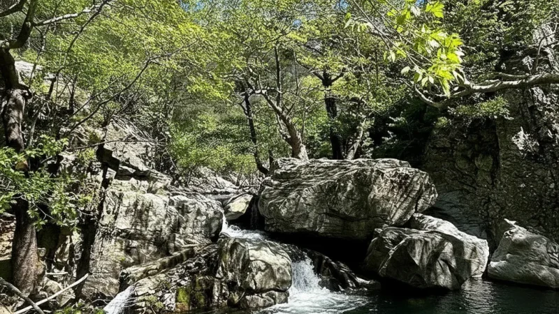 04. Hasanboguldu Pond – Small natural pool and nature tracks_(1)