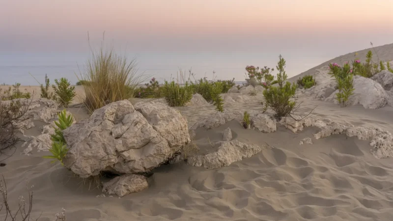 04. Patara Beach – A long sandy beach ideal for quiet walks_(4)
